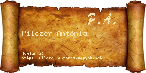 Pilczer Antónia névjegykártya