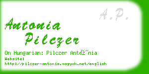 antonia pilczer business card